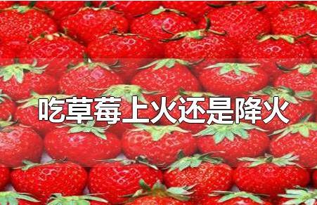 吃草莓上火吗（吃草莓上火还是降火）