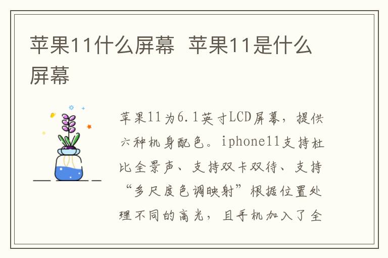 苹果11什么屏幕  苹果11是什么屏幕