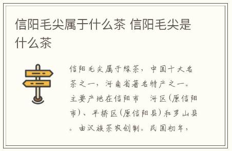 信阳毛尖属于什么茶(信阳毛尖属于什么茶)