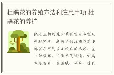 杜鹃花的养殖方法和注意事项 杜鹃花的养护