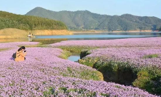 南平市春季赏花去哪里 推荐南平市春季赏花好去处