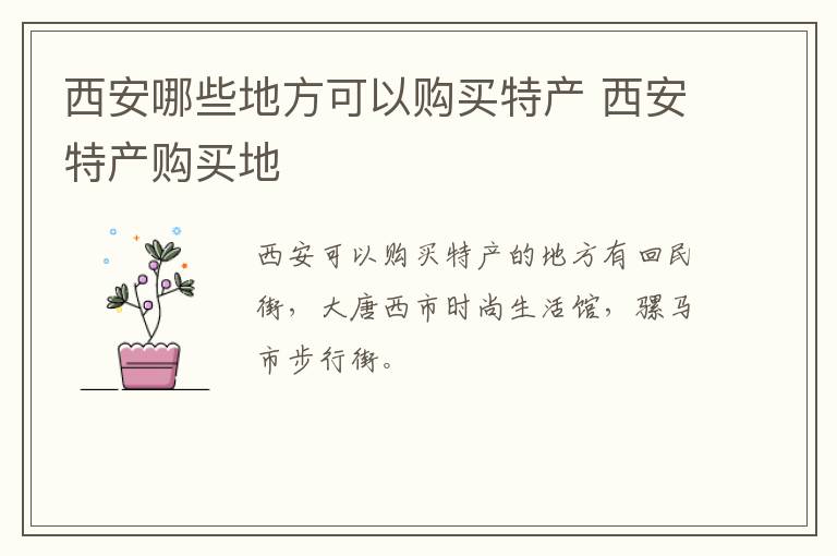 西安哪些地方可以购买特产 西安特产购买地介绍