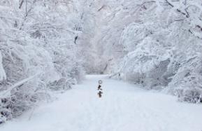 下大雪了的英语怎么说  下大雪了的英语怎么说