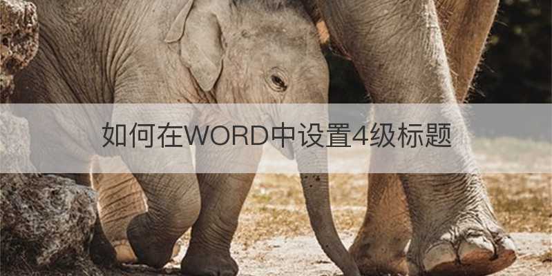 如何在WORD中设置4级标题 WORD教程