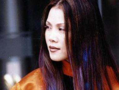 歌手田震个人资料简介  田震简介及老公介绍资料