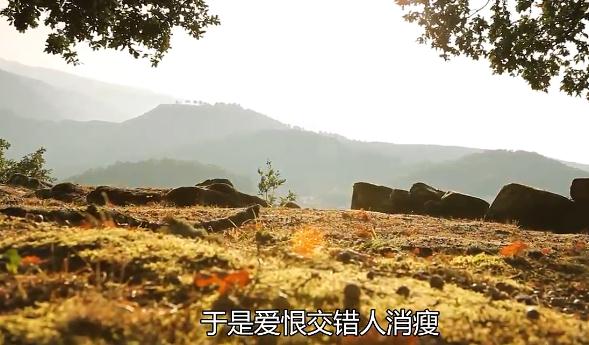 于是爱恨交错人消瘦是什么歌 于是爱恨交错人消瘦是什么歌曲 
