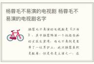 杨蓉毛不易演的电视剧 杨蓉毛不易演的电视剧名字