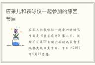应采儿和袁咏仪一起参加的综艺节目