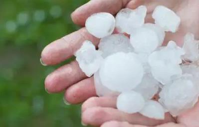 雹组词_雹组词组_雹组词组词语有哪些