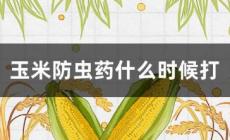 玉米防虫药最佳时间是什么时候