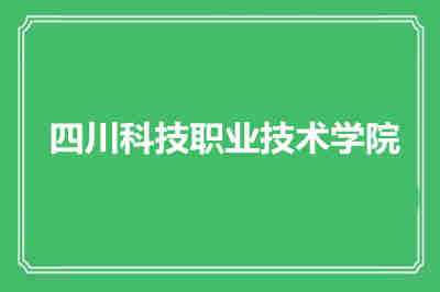 四川科技职业技术学院办学特色