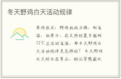 为什么没人买芦花鸡