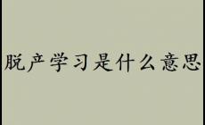 脱产学习是什么意思