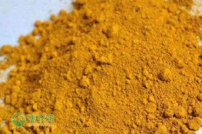 黄粉的正确使用方法插图 黄粉的正确使用方法插图