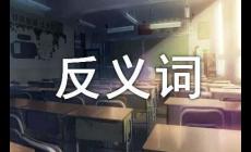 从容的近义词是什么？从容的近义词有哪些