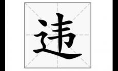 违组词_违怎么组词_违的组词有哪些