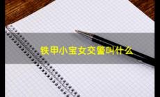 铁甲小宝的女交警叫什么？铁甲小宝粉色机器人叫什么？