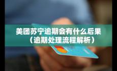 美团苏宁逾期会有什么后果（逾期处理流程解析）