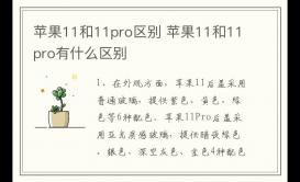苹果11和11pro的区别 苹果11和11pro有什么区别