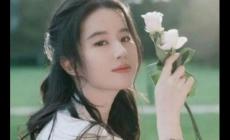 刘亦菲凭一部剧带火了5个人，怎么回事？