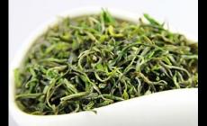 毛峰茶属于什么茶
