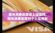 阳光消费逾期会上征信吗？逾期对个人信用影响大不大？