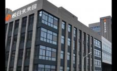 浙江神秘80后捅了个62亿的窟窿  资本游戏泡沫幻灭