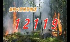 森林火灾报警电话是多少？