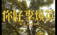 你好李焕英观后感600字初中
