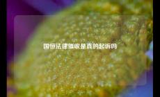 国恒法律催收是真的起诉吗