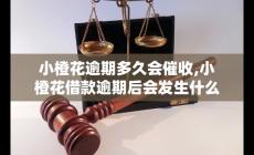 小橙花逾期多久会催收,借款逾期后会发生什么
