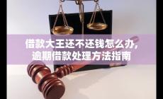 借款大王无法按时还款怎么办？逾期借款处理指南
