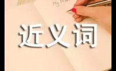 特别的近义词