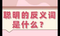 聪明的反义词有哪些  聪明的反义词是什么