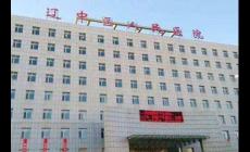 沈阳市辽中县医院是三甲医院吗