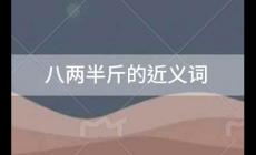 八两半斤的近义词，八两半斤的近义词是什么
