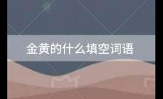 金黄的什么填空词语一年级