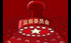 国家监察委员会由什么组成
