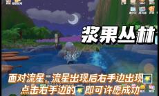 摩尔庄园流星雨许愿方法攻略