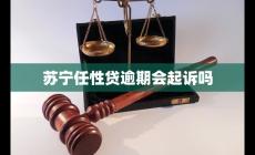 苏宁任性贷逾期会起诉吗