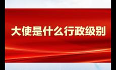 大使是什么行政级别的官职 大使的行政级别