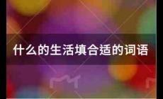 什么的生活填合适的词语有哪些？
