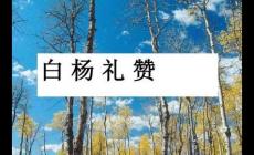 白杨礼赞是几年级的课文(茅盾-白杨礼赞原文)