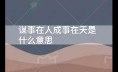 谋事在人成事在天是什么意思 谋事在人成事在天的意思