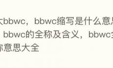 大bbwc，写bbwc缩写是什么意思，bbwc的全称及含义