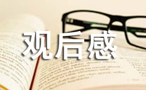 中国乒乓 电影观后感800字