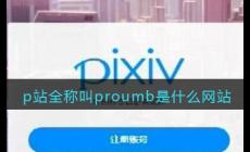 p站网址是什么？pubhorn的官网地址是多少？
