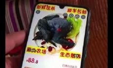 88元网购的4只乌鸡洗出一盆黑水，品质被消费者质疑