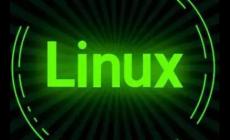 Linux下出现permission denied怎么解决（解决办法）