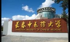 长春中医药大学代码是多少